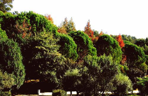 Quinta de S. Vicente 317 - Foto 29