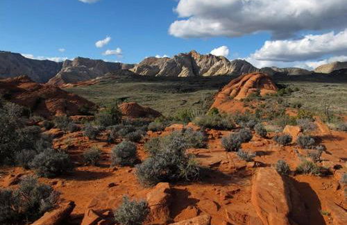 Ocotillo Spring Resort 44 Sky Fire Private Brand-New Home, Private Hot Tub, and Community Pool - Foto 39
