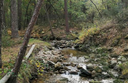 Casa Siete Picos - Foto 21