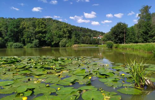 Sudety Canna House - Foto 13