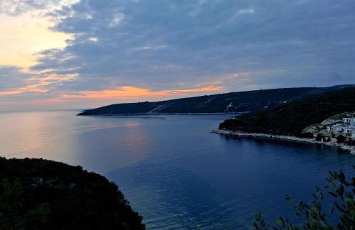 LUXURY VILLA ŠENTADA - Photo 38