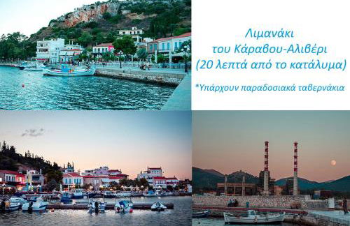 Ανέμη - Foto 35