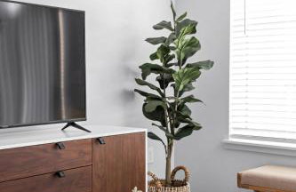 CozySuites At Notch - Foto 36