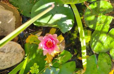 Agoriani Art Suite - 4 seasons' natural living - Foto 51