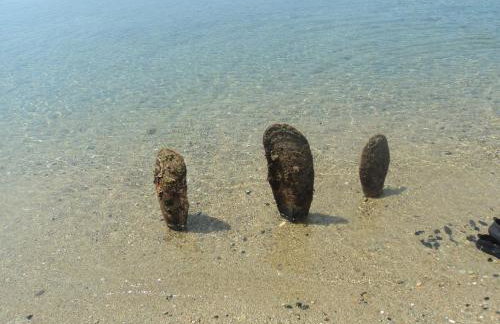 Chiona΄s Apartments by the Sea - Photo 12