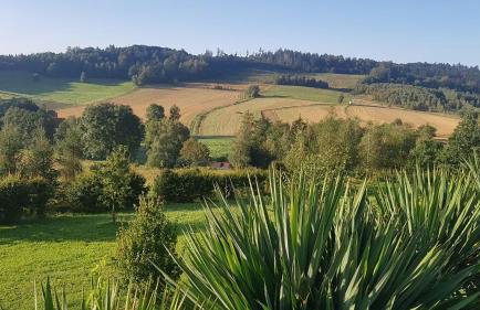 W Sercu Kotliny - luksusowe wille 8 osobowe z balią opalaną drewnem i widokiem na góry - Foto 33