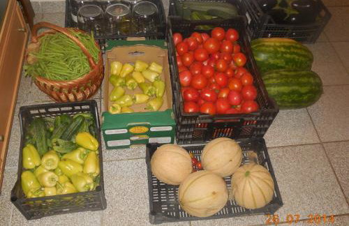 Apartments Dvorski - Photo 37