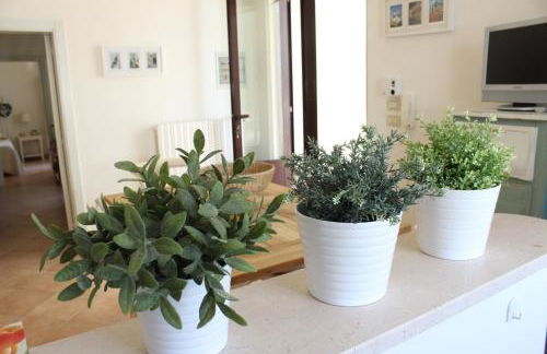 Fiordilavanda - Foto 15