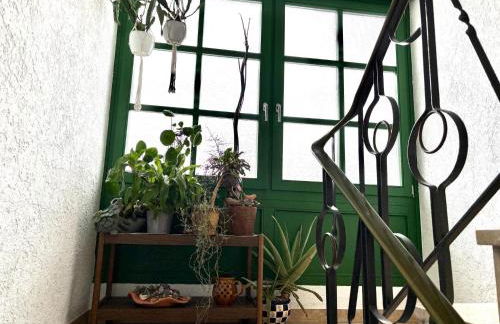 Ferienwohnung Grüne Oase - Foto 24