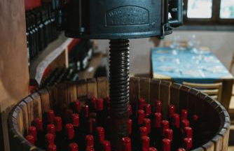 Tenuta del Bifan - Photo 52