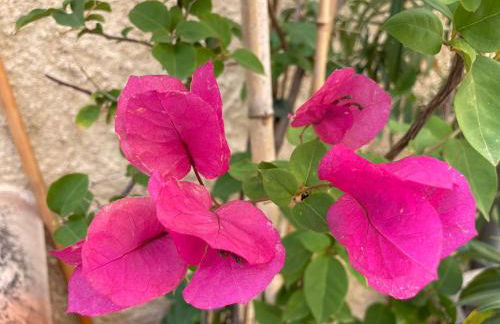 Bienvenue chez Sandrine - Foto 23