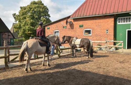 504 Stallgeflüster - Foto 30