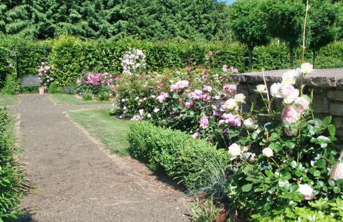 Im-Dorfblick - Foto 13