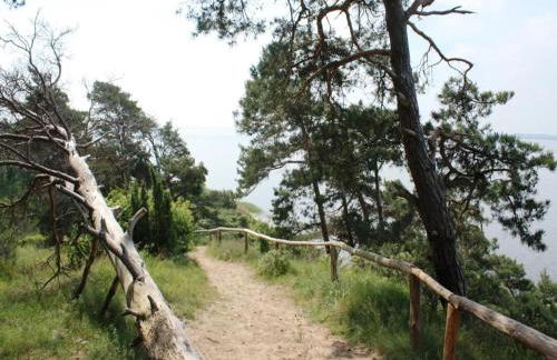 Farmstay Neuendorfkrug, Lütow - Foto 72