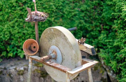 Ferien auf der Fleischdielte - Foto 27