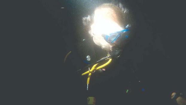 Night Diving in Ilhabela - Foto 2