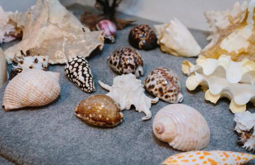 The Old Rectory - Foto 25