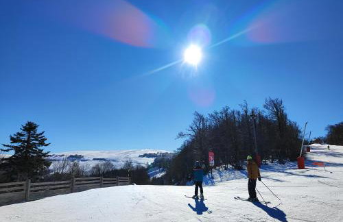 Notre Renardière, Gîtes à Saulxures-sur-Moselotte, Hautes-Vosges - Foto 48