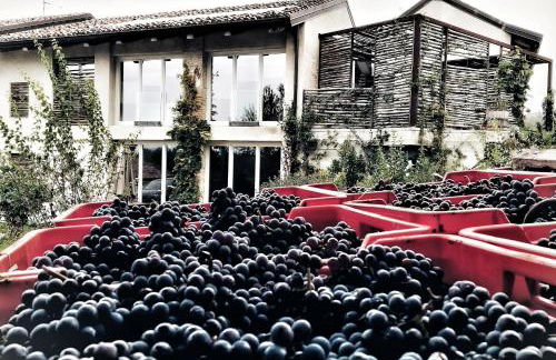 ROSTAGNI 1834 apt with pool in the Barolo region - Foto 53