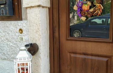 Dolci Vecchi Ricordi in Valpolicella - Foto 1