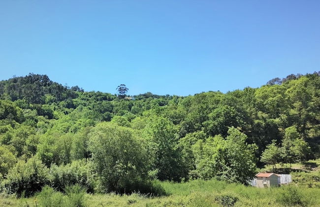 Moinho da Varzea Mill House & Hot Tub - Foto 20