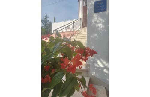 Apartman Dino - Foto 19