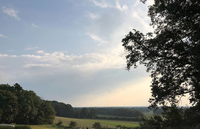 Willi Ohler Haus - Foto 20