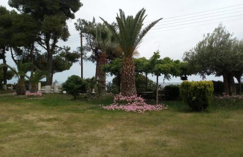 Entire Appartment 50m from sea - Spiros - Photo 22