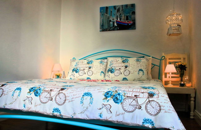 Maltese Maltese - Foto 8