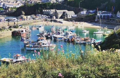 Newquay Holiday Home - Foto 1