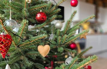 Domki Pod Lasem - Domek Brzozowy - Foto 28