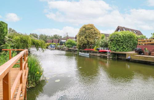 Kingfisher - Photo 36