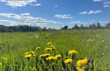 Przystanek Prawdowo - Foto 33