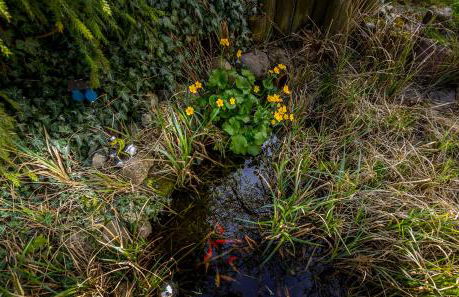 Schönes wohnen im Grünen - Foto 5