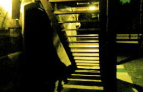 Stara Iža - Foto 13