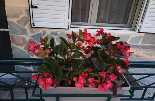 Maria's family house - Foto 36