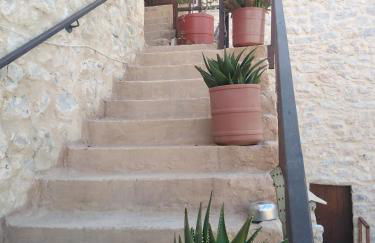 Pandera areopoli - Foto 41