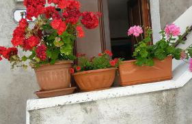 Monolocali Tra Rieti e Terminillo e lago del Salto - Foto 16