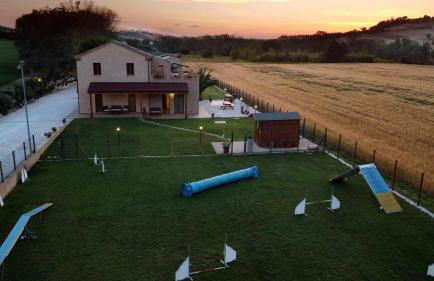 Casa Montefiore 13 Girasoli LT nella tranquilla campagna Marchigiana - Foto 35