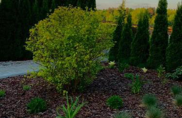 Mazurski dom Brejdyny Sauna i Bania - Foto 47