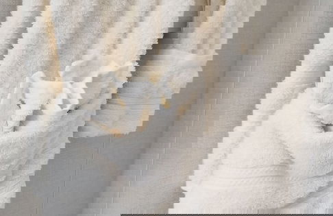 New Kingston Guest Apt at Kingsway - Foto 23