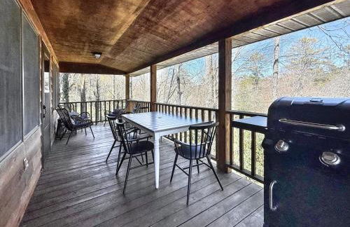 The Spotted Owl - Foto 4