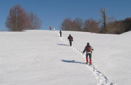 Principe di Napoli - Foto 35