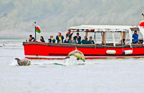 Gorwel, Spacious 3 Bedroom Cottage near the Beach - Photo 22