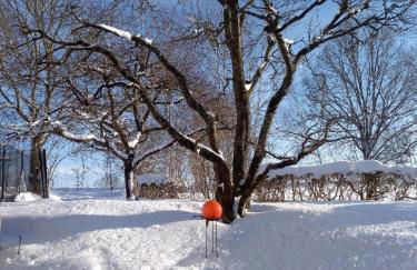 Pension Egner-Rieß - Foto 26