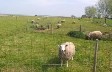 Au Mont Chez Nous # Jacuzzi & Sauna # - Foto 54