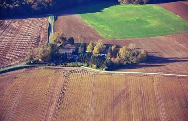 Le Translon - Foto 63