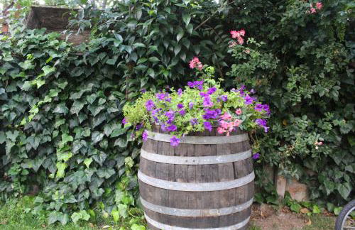 Kivotos Epavlis - Foto 31