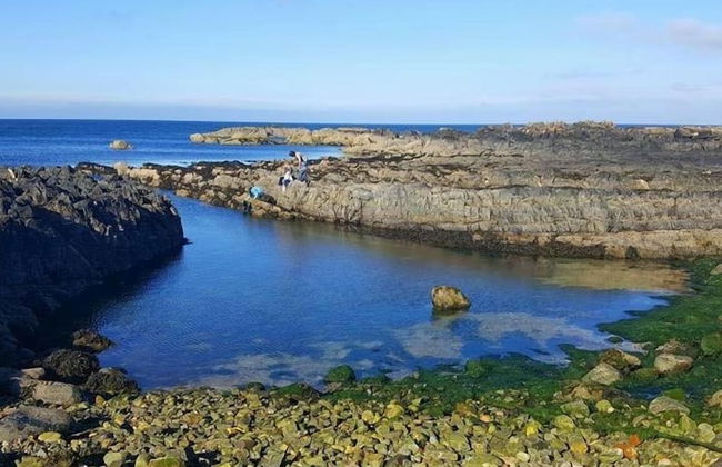 Pew With a View - Seafront Cottages - Foto 41