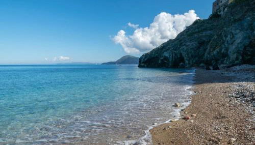 La Cartomante di Bonaparte - Foto 4